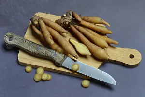Spice Plant Drucke: Fingerroot and knife on cutting board