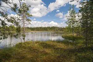 European Country Landscapes Drucke: Finland, bow, countries, detail