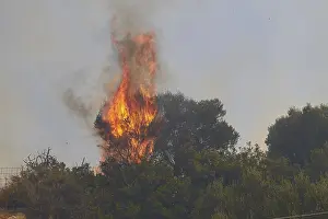 Southeast Europe Coast Drucke: Fire, burning tree, metre-high flames