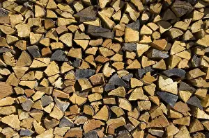 Renewable Energy Drucke: Firewood