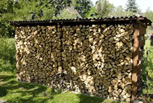 Renewable Energy Drucke: Firewood