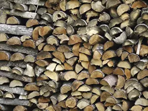 Gerahmter Druck : Firewood
