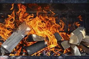 Deserted Firewood Drucke: Firewood fire