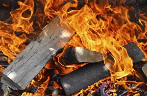 Grilled Food Drucke: Firewood fire