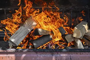 Hot Food Photography Drucke: Firewood fire