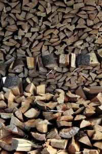 Green Energy Technology Drucke: Firewood, logs, split