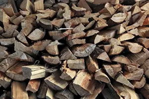 Split Firewood Drucke: Firewood, logs, split