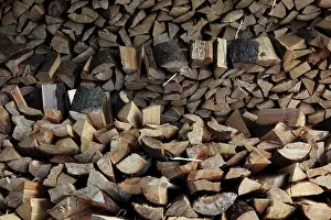 Green Energy Technology Drucke: Firewood, logs, split
