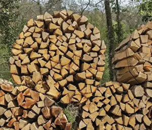 Woodpile Storage Drucke: Firewood piles