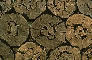 Wooden Structure Drucke: Firewood, split logs