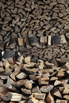 Uninhabited Landscape Drucke: Firewood, split logs
