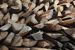 Firewood Logs Drucke: Firewood, split logs