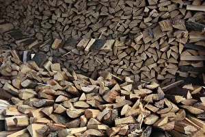Power Generation Drucke: Firewood, split logs