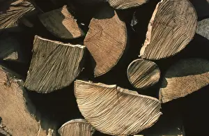 Split Firewood Drucke: Firewood, split logs