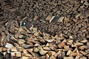 Firewood Logs Drucke: Firewood, split logs