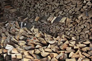 Green Energy Alternative Drucke: Firewood, split logs
