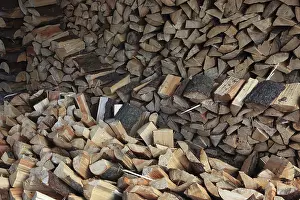 Wood Structure Pattern Drucke: Firewood, split logs