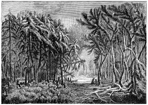 Vintage Style Landscape Photography Drucke: The first forests. Devonian period