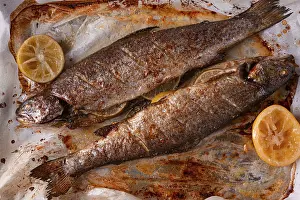 Home Kitchen Cooking Drucke: Two fish are being cooked on a baking sheet in a home kitchen