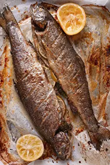 Grilled Fish Recipe Drucke: Two fish are being cooked on a baking sheet in a home kitchen