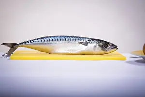 Fish Photography Drucke: A fish on a cutting board