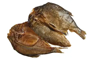 Studio Shot Of A Fish Drucke: Fish on an isolated studio background