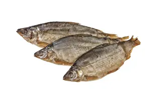 Wild Animal Studio Photo Drucke: Fish on an isolated studio background