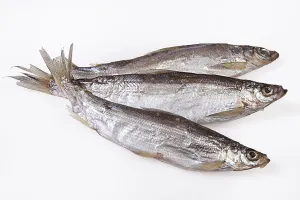 Edible Fish Photography Drucke: Fish on an isolated studio background