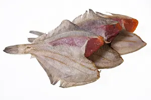 Studio Food Photography Drucke: Fish on an isolated studio background