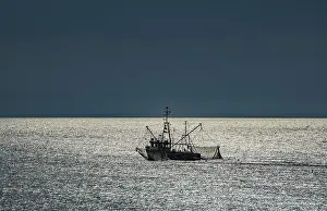 Deserted Coastline Scene Drucke: Fishing boat at work