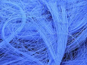 Baltic Sea Fishing Drucke: Fishing net