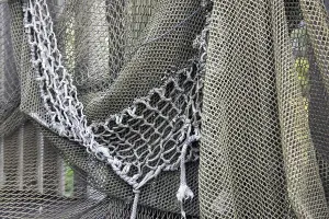 Uninhabited Coastal Scene Drucke: Fishing nets drying on the fence