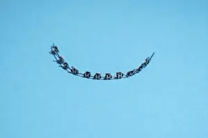 Healthcare Profession Drucke: Fixed braces of a child on a blue background