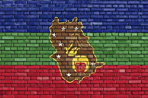 Drucke von Flagge des Bundesstaates Amazonas auf Ziegelmauer Venezuela Drucke: Flagge des Bundesstaates Amazonas auf Ziegelmauer.