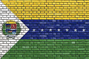 Drucke von Flagge des Bundesstaates Apure auf Ziegelmauer gemalt Venezuela Drucke: Flagge des Bundesstaates Apure auf Ziegelmauer gemalt.