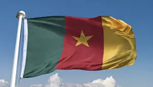 Isolated National Colors Drucke: The flag of Cameroon, fluttering in the wind