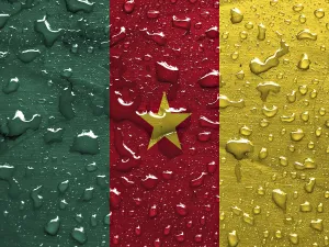 Drucke von Flagge von Kamerun mit Regentropfen Kamerun Drucke: Flagge von Kamerun mit Regentropfen.