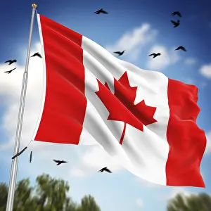Computer Generated Image Drucke: Flag of Canada, This is a computer generated and 3d rendered image