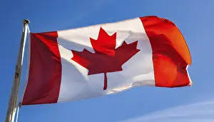 National Symbol Drucke: The flag of Canada flutters in the wind