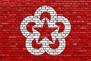 Deserted Brick Structures Drucke: Flag of Comecon painted on brick wall