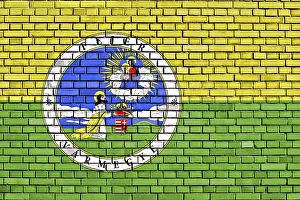 Hungarian Flag On Brick Wall Drucke: Flag of Fejer County painted on brick wall
