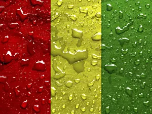 West African Flag Drucke: Flag of Guinea with rain drops
