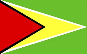 South American Flag Drucke: Flag of Guyana