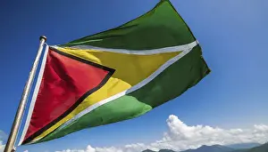 Isolated National Emblem Drucke: The flag of Guyana, fluttering in the wind