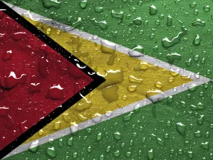Verwandte Bilder Drucke: Das Flaggenwappen von Guyana mit Regentropfen.