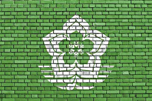Abstract Flag Patterns Drucke: Flag of Harbin painted on brick wall
