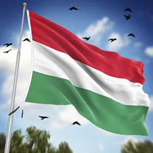 European Country Flags Drucke: Flag of Hungary, This is a computer generated and 3d rendered image