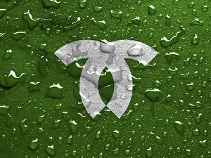 Asian National Symbols Drucke: Flag of Kobe with rain drops