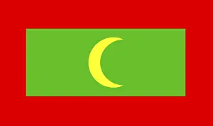 Maldives Flag Drucke: Flag of Maldives
