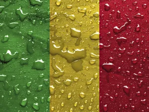 Drucke von Flagge von Mali mit Regentropfen Mali Drucke: Flagge von Mali mit Regentropfen.